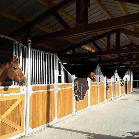 D'hotes Et Gites Dans Haras Moult